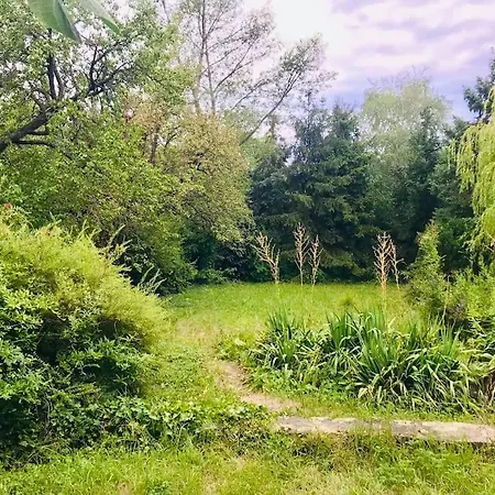 Apartament Vadrozsa Haz, Csendre Vagyoknak