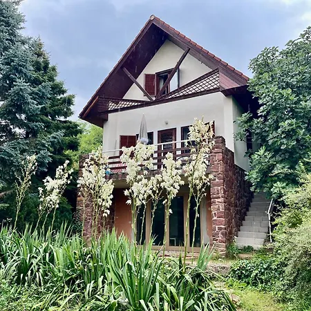 Vadrozsa * Badacsonytomaj