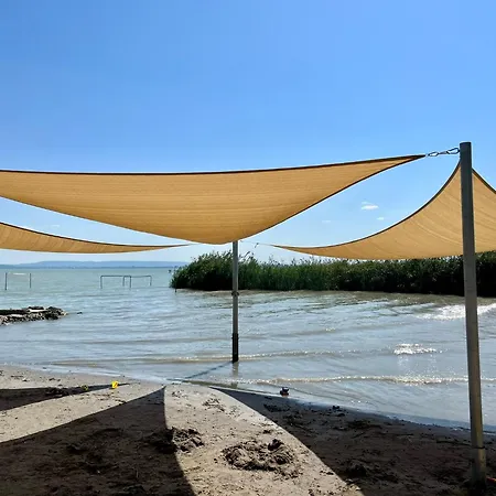 Vadrozsa *