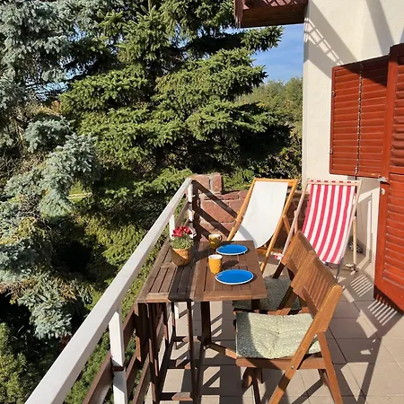 Vadrozsa * Badacsonytomaj