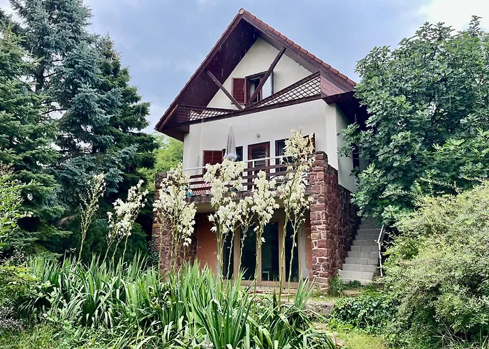 Vadrozsa * 바다초니토마이