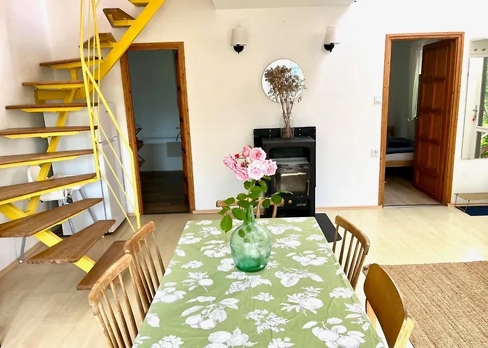 Vadrozsa 바다초니토마이