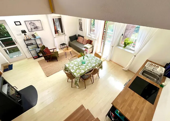 Vadrozsa Lejlighed *